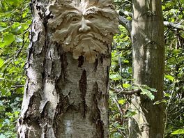 Green man trail