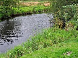 Peaceful river