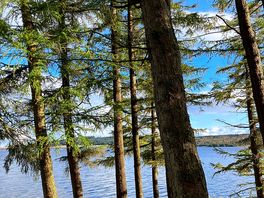 Kielder reservoir