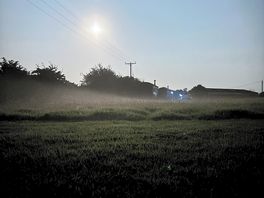 Heavy dew.
