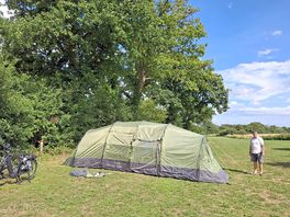 Lower field