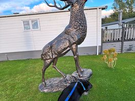 Statues dotted around the site