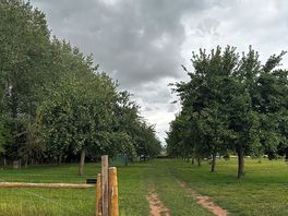 Orchard and camping site