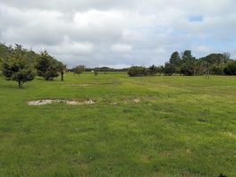 Very quiet for a half term holiday