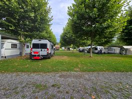 Parzellen geht von baum zu baum!