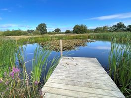Swimming lake