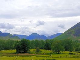 Beautiful surroundings