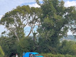 Bank holiday weekend - campsite busy but still so spacious!