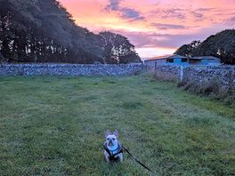 Beautiful sunset sky