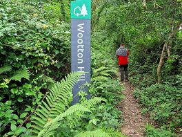 Great woodland walk from campsite