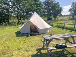 Camping pitch, dog friendly