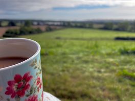 Morning tea