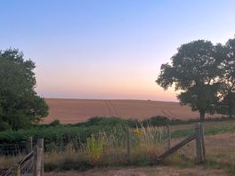 Sunset over rear fields