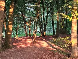 Evening walk round site