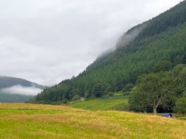 Cae llwyd campsite