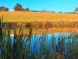 Lakeview