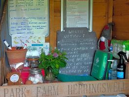 Tide table,wildlife info,eggs,flapjacks,marshmallowsfreshly picked herbs for culinary use!