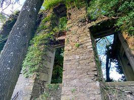 Interesting, hidden building on site