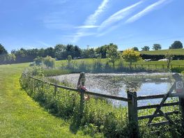 Lake / pond side view