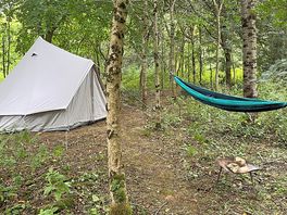 A perfect spot