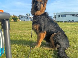 Our gs 1st camping trip and she loved it