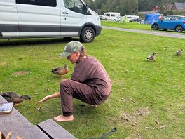 Feeding the ducks