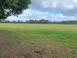 Camping field