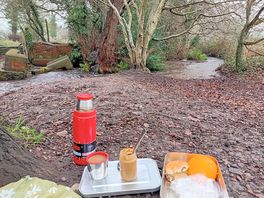 Perfect packup lunch spot