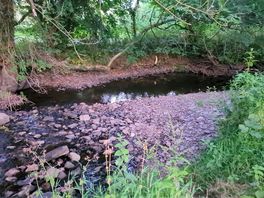More river - would be rude not to