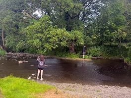 The beck