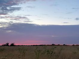 View in the evening.