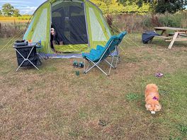 Maya loved the stay too 🐶