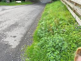 The road to the right.