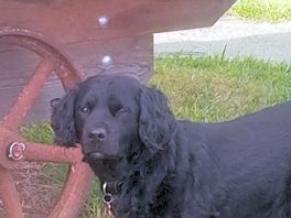 Barkley loved the freedom