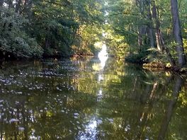 Übergang vom leppinsee zum waterfitzsee