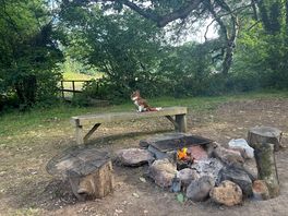 My own little fire pit