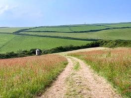 Path to extra pitches