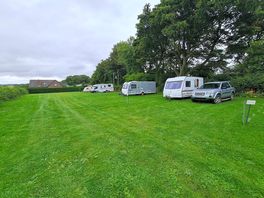 Pitches shaded by tall trees