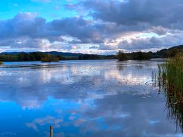 View of the loch