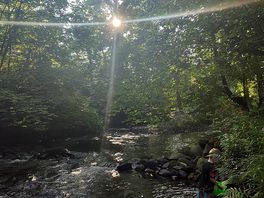 The beautiful river