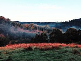 Taken from outside the yurt