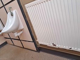 Cockroaches running around in the grim toilets.