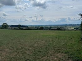 The view