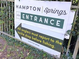 Hampton springs fishery