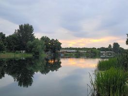 Evening sun