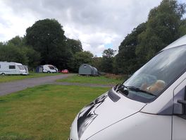 The site