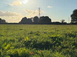 Field