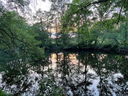 The river at twilight