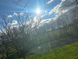 Sunny