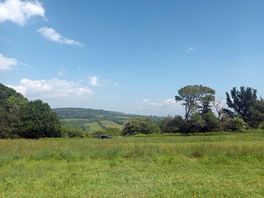 My view from the tent.